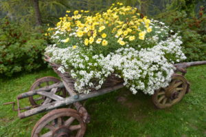 Lacasadi Lalla verde e fiori